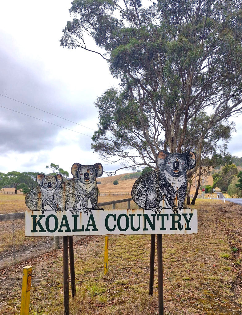 Koala Clancy Foundation